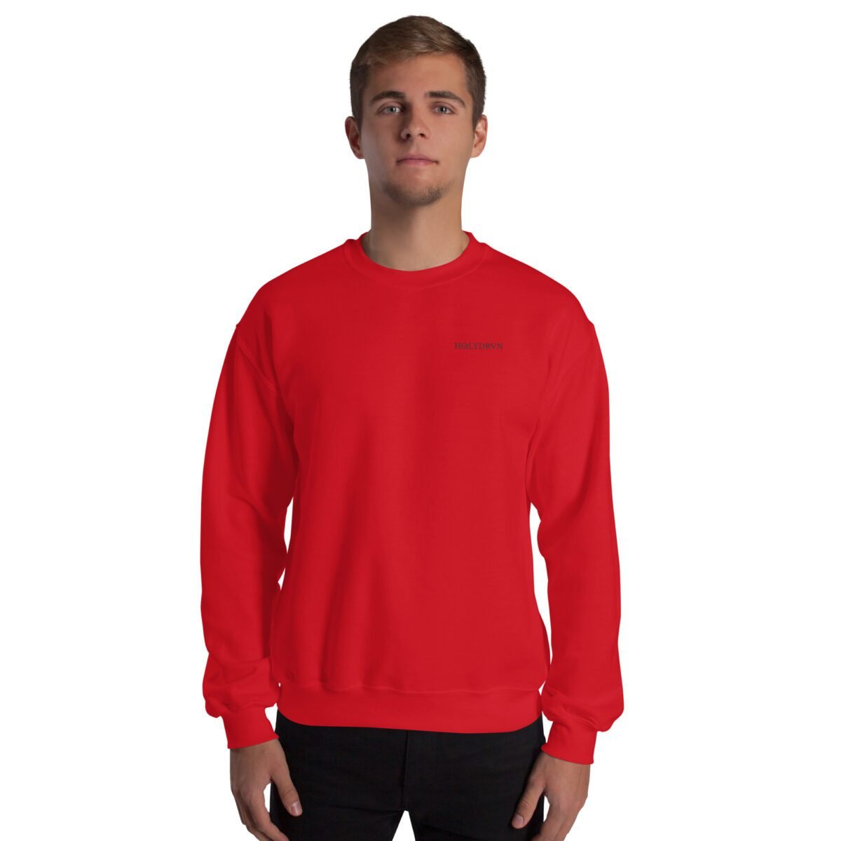 Christian apparel sweatshirt Unisex – Driven to Praise - Image 2