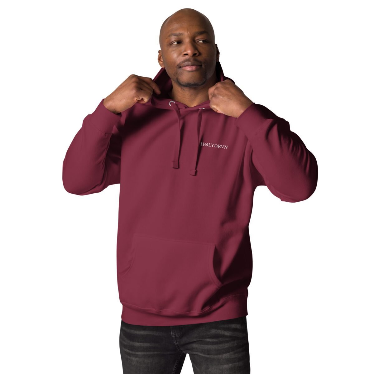 Christian clothing hoodie Unisex - Holydrvn Lion - Image 5