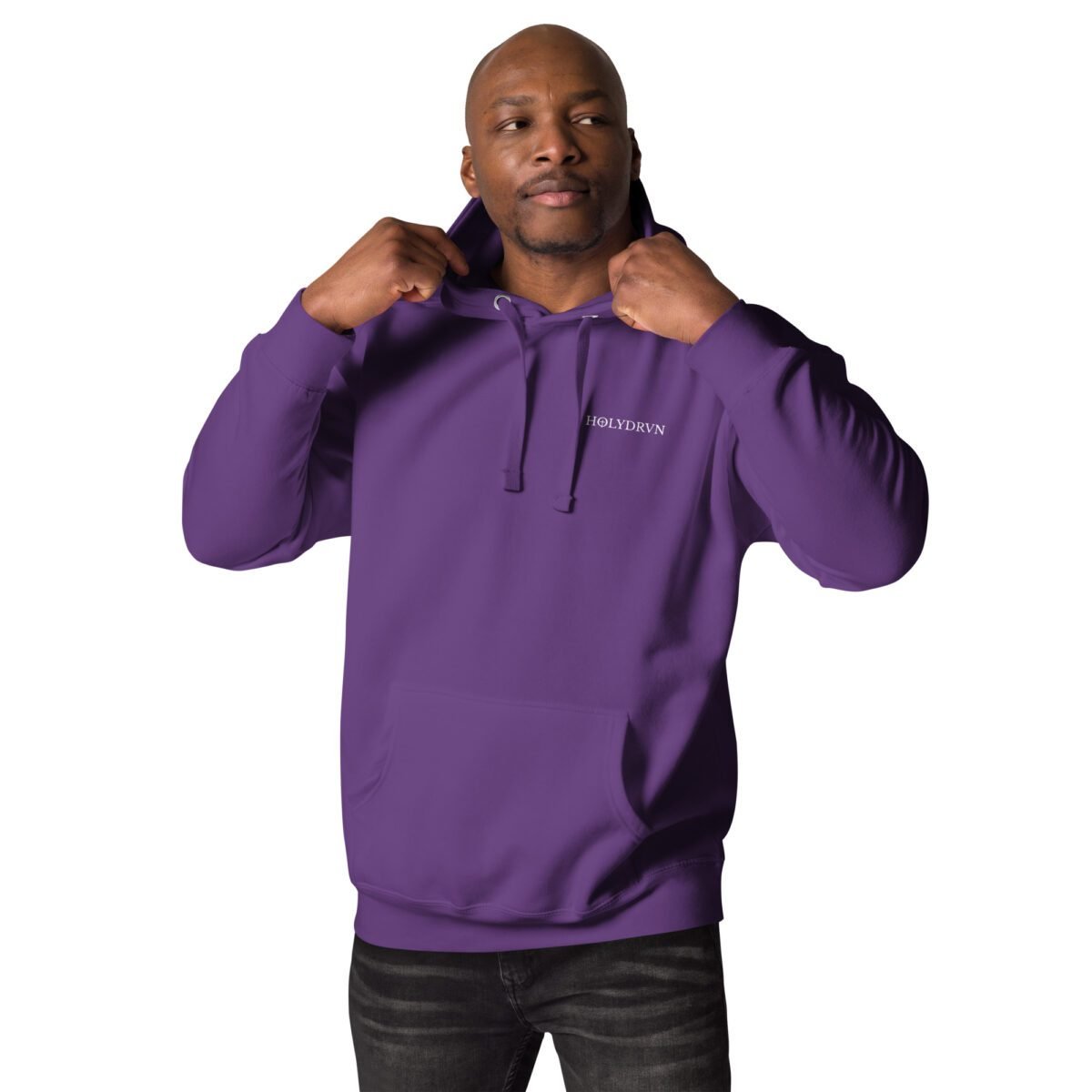 Christian clothing hoodie Unisex - Holydrvn Lion - Image 9